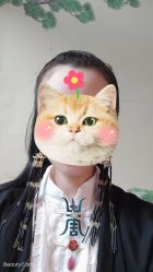 -盘子女人坊古装写真摄影(天津总店)