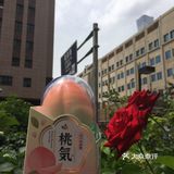 诱人的蜜桃冰棍儿[糖果]