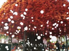 -郑州方特梦幻王国