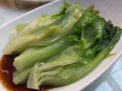 白灼唐生菜-顺峰(阜成店)