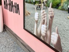 -深圳湾万象城(南山店)