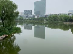 -大兴滨河森林公园