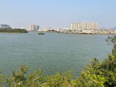 -立新湖公园