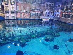 -华夏文旅海洋公园