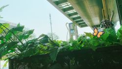 -喜柿·nail日式美甲美睫