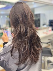 -镁连社·美联社