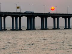 -宝安西湾红树林湿地公园