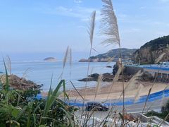 -枸杞岛