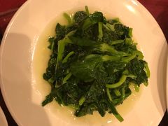 酒香豆苗-老吉士酒家(天平路店)
