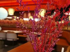 -刘一锅筋头巴脑(大悦城C店)