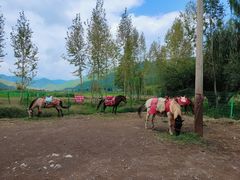 -泸沽湖国家级风景名胜区走婚桥