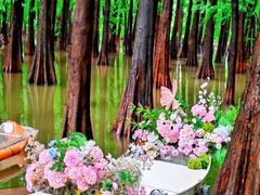 -星湖旅游景区七星岩