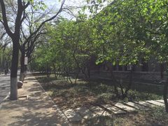 街道-山东大学(趵突泉校区)