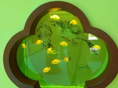 -北戴河圣蓝海洋公园