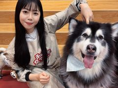 -和它·交个朋友·狗咖猫咖(爱琴海店)