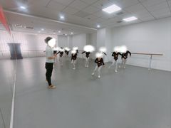 -西安小天鹅艺术团(金花路校区)