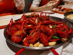 -杨氏青龙虾·羊蝎子(托乐嘉店)