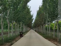 -西青郊野公园