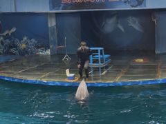-苏州海洋馆