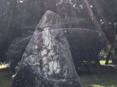-东湖落雁景区