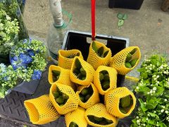 -循礼门鲜花花市(武汉循礼门店)