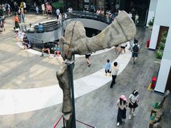 -自贡恐龙博物馆