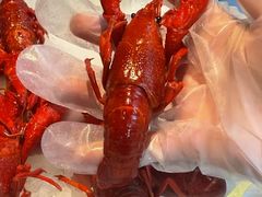 -红盔甲·小龙虾(天钥桥店)
