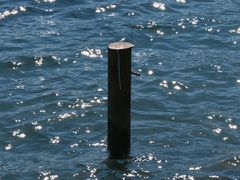 -西昌邛海湿地