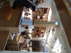 -滚猫咖啡·猫咖·猫友好撸猫(未来城店)