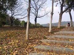 -河海大学(江宁校区)