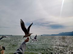 -滇池海埂公园