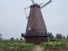 -漩门湾国家湿地公园