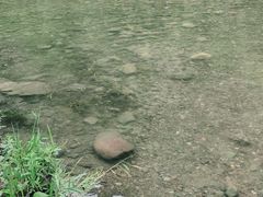 -白河湾生态旅游一条川