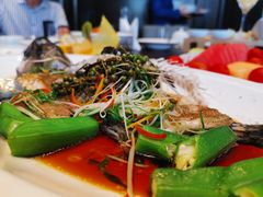 东星斑鱼-鹭禧·中餐厅(厦门波特曼七星湾酒店)