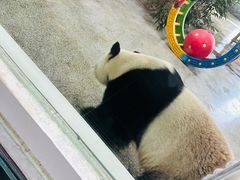 -临沂动植物园