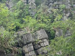 -梭布垭石林景区