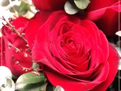 -FEI FEI FLOWER鲜花店·气球派对·宝宝宴布置(虹口德必运动Loft店)