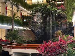 -广州白天鹅宾馆