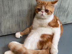 -臻鲜燕海鲜融合餐厅(金陵style店)