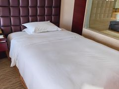 -上海浦东绿地铂骊酒店