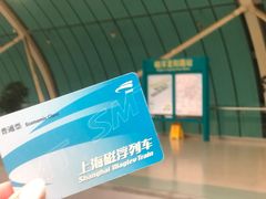 -龙阳路磁悬浮列车总站-停车场