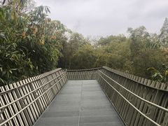 -福道