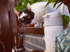 -一盃山水咖啡茶馆