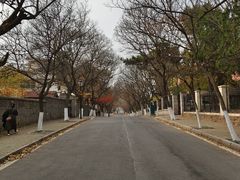-八大关景区