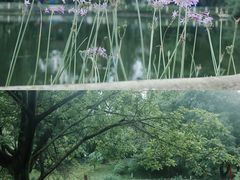 -塔子山公园