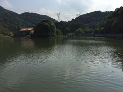 -广州市帽峰山景区
