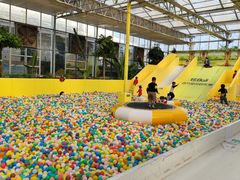 -南宫五洲植物乐园