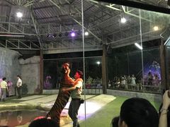 -清迈夜间动物园
