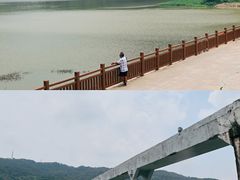 -风云岭森林公园