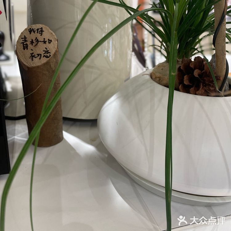 又来喝咖啡啦[胜利][胜利]